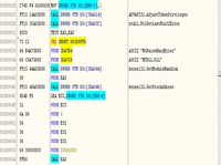 Screenshot einer Code-Analyse der Ransomware Petya