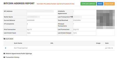 Detailansicht zur Bitcoin-Adresse aus der Porn Scam Email