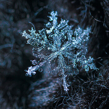 Einzelner Eiskristall in blauem Licht