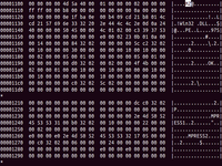 Screenshot der Identifikation eines Windows Binary