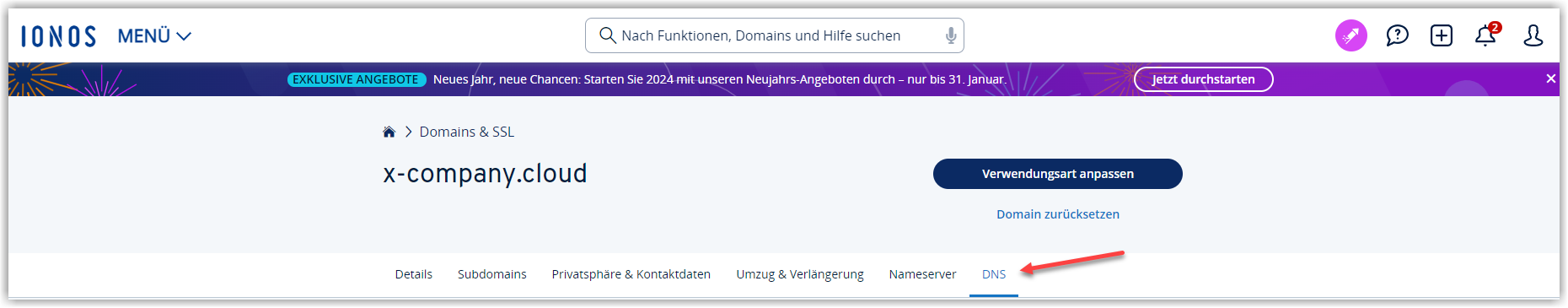 G DATA 365 | Mail Protection IONOS DNS Seite