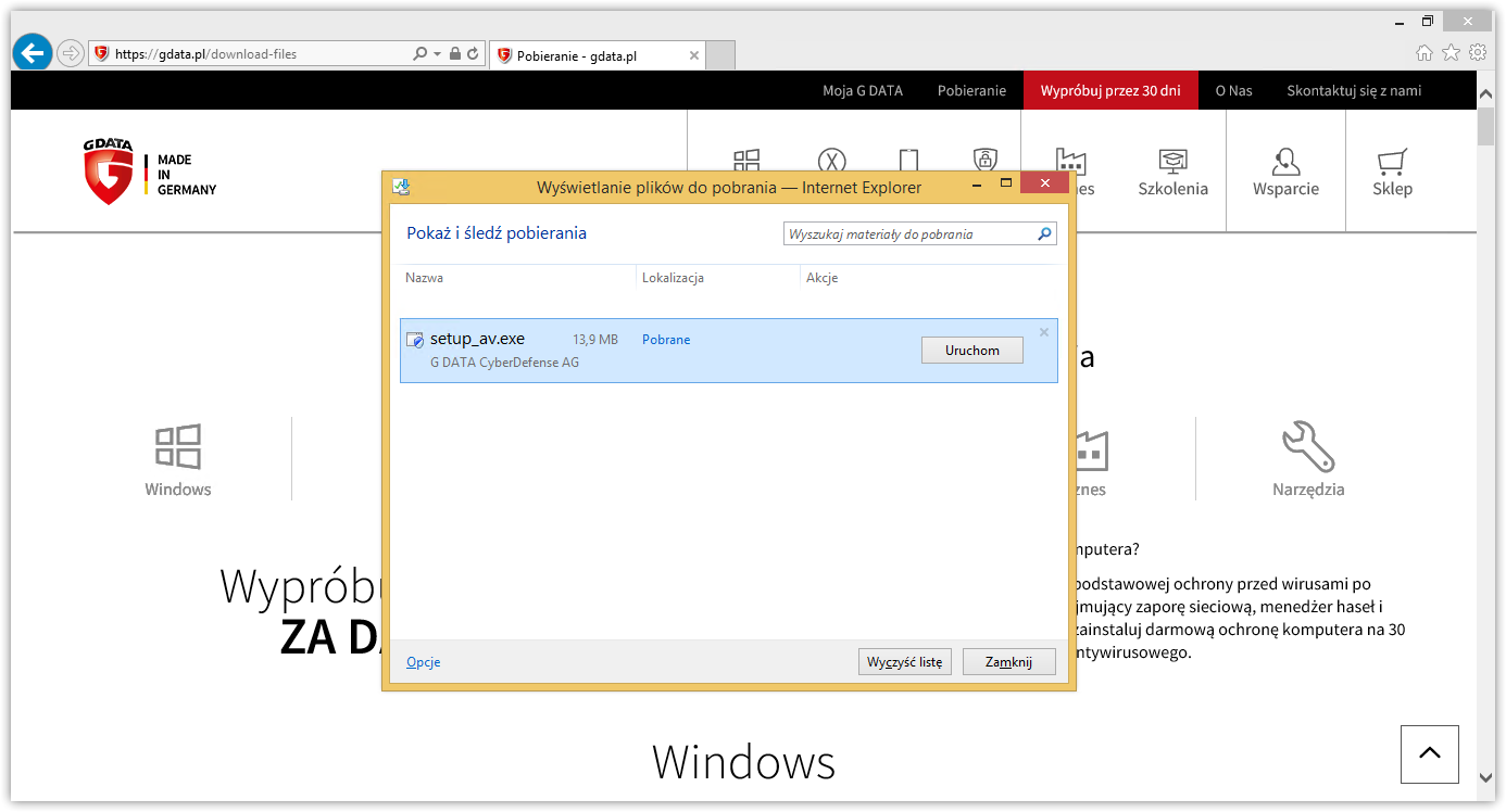 Internet Explorer Downloads