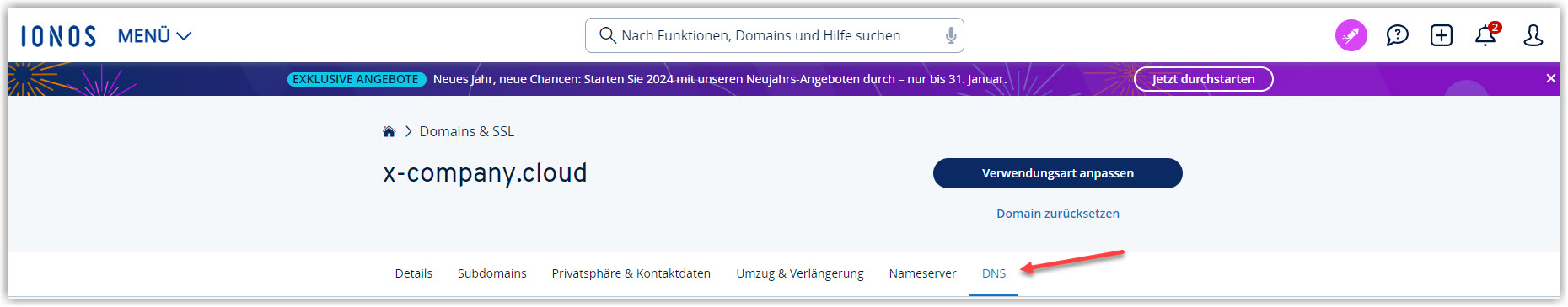G DATA 365 | Mail Protection IONOS DNS Seite