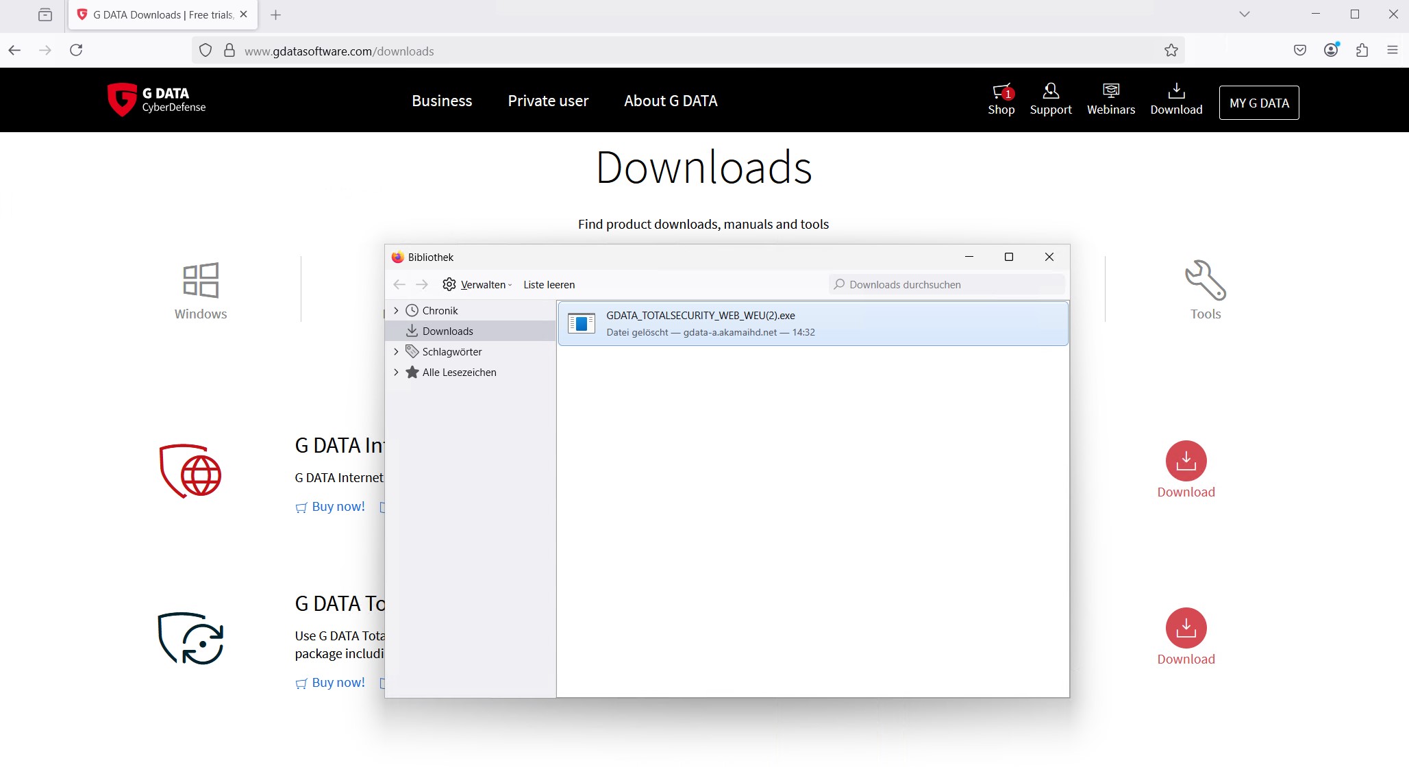 Browser downloads