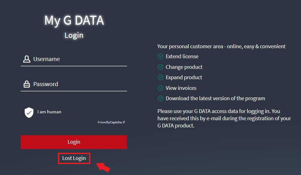 Login Mask