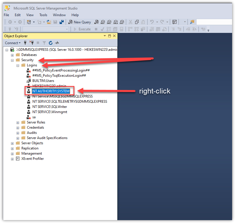 SSMS Start and Connect