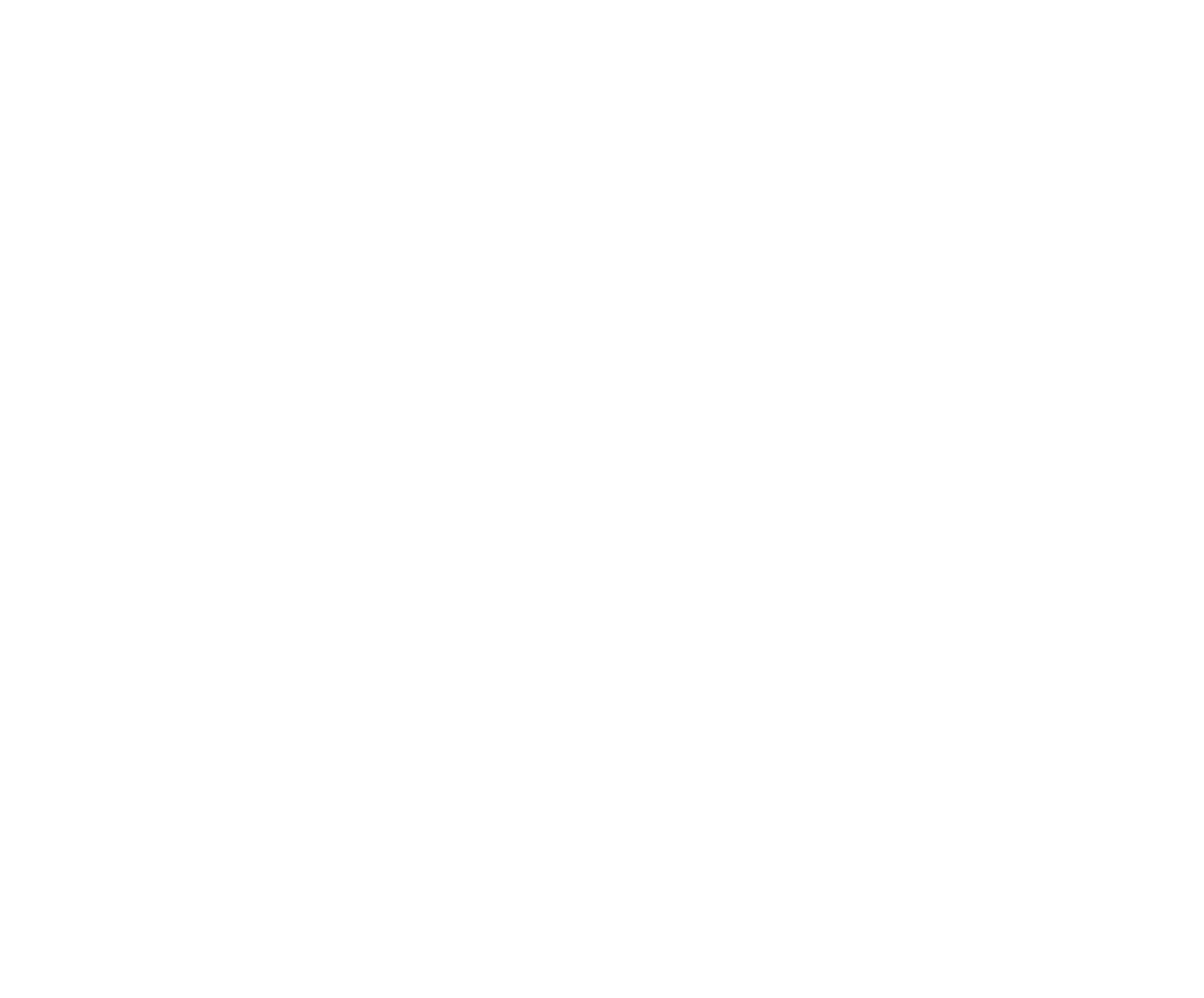 Bedrohung: Verlust von Datenträgern